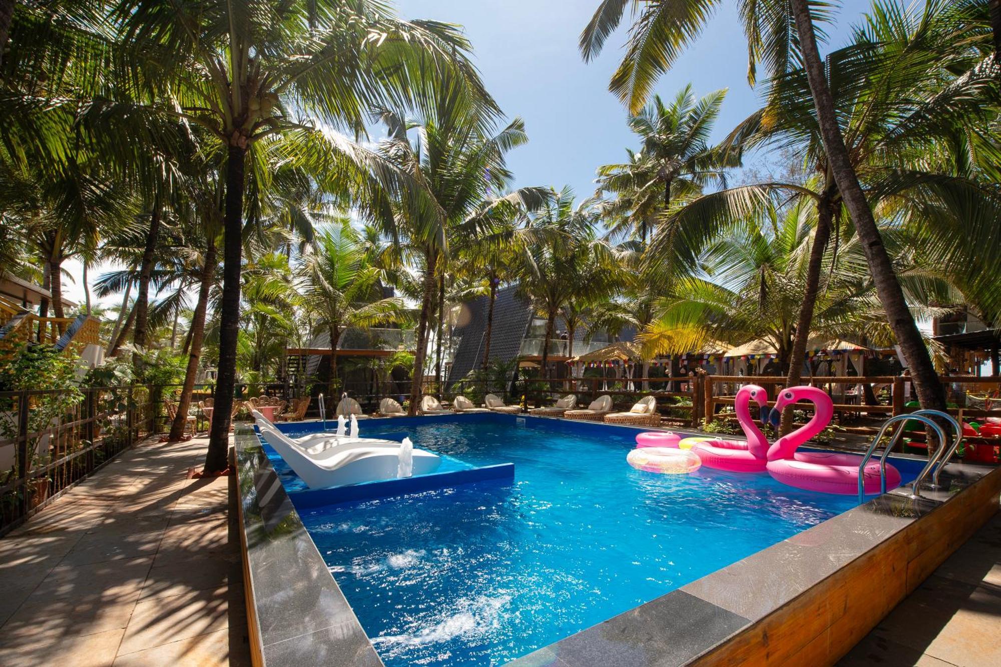 Guide to Investing in Luxury Villas in Baga, Goa