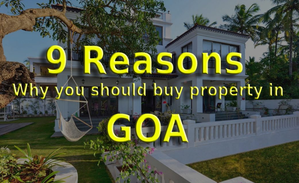 Guide to Investing in Boutique Hotels in Morjim, Goa