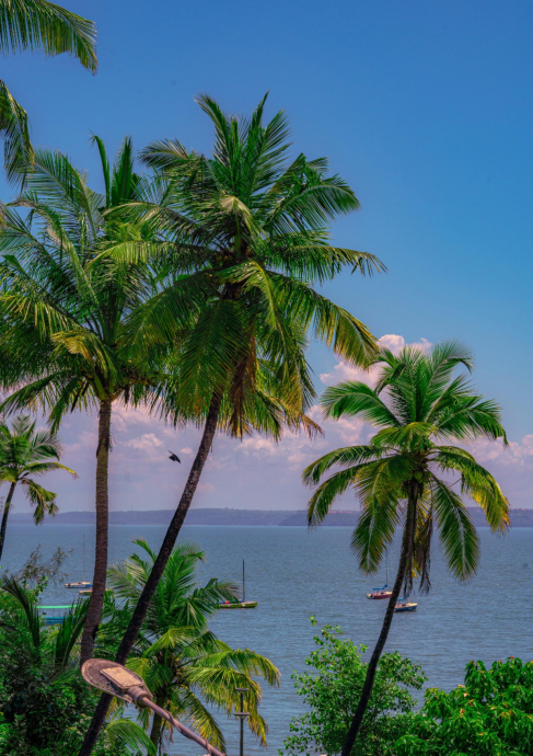 Guide to Investing in Beachfront Plots in Assagao, Goa