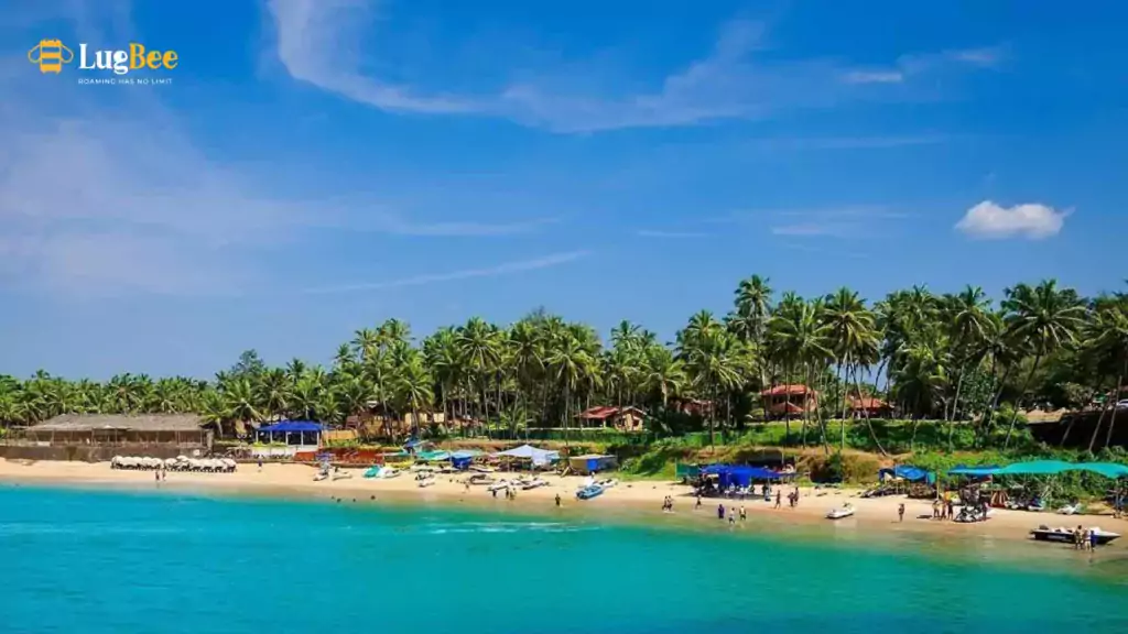 Guide to Investing in Boutique Hotels in Arpora, Goa
