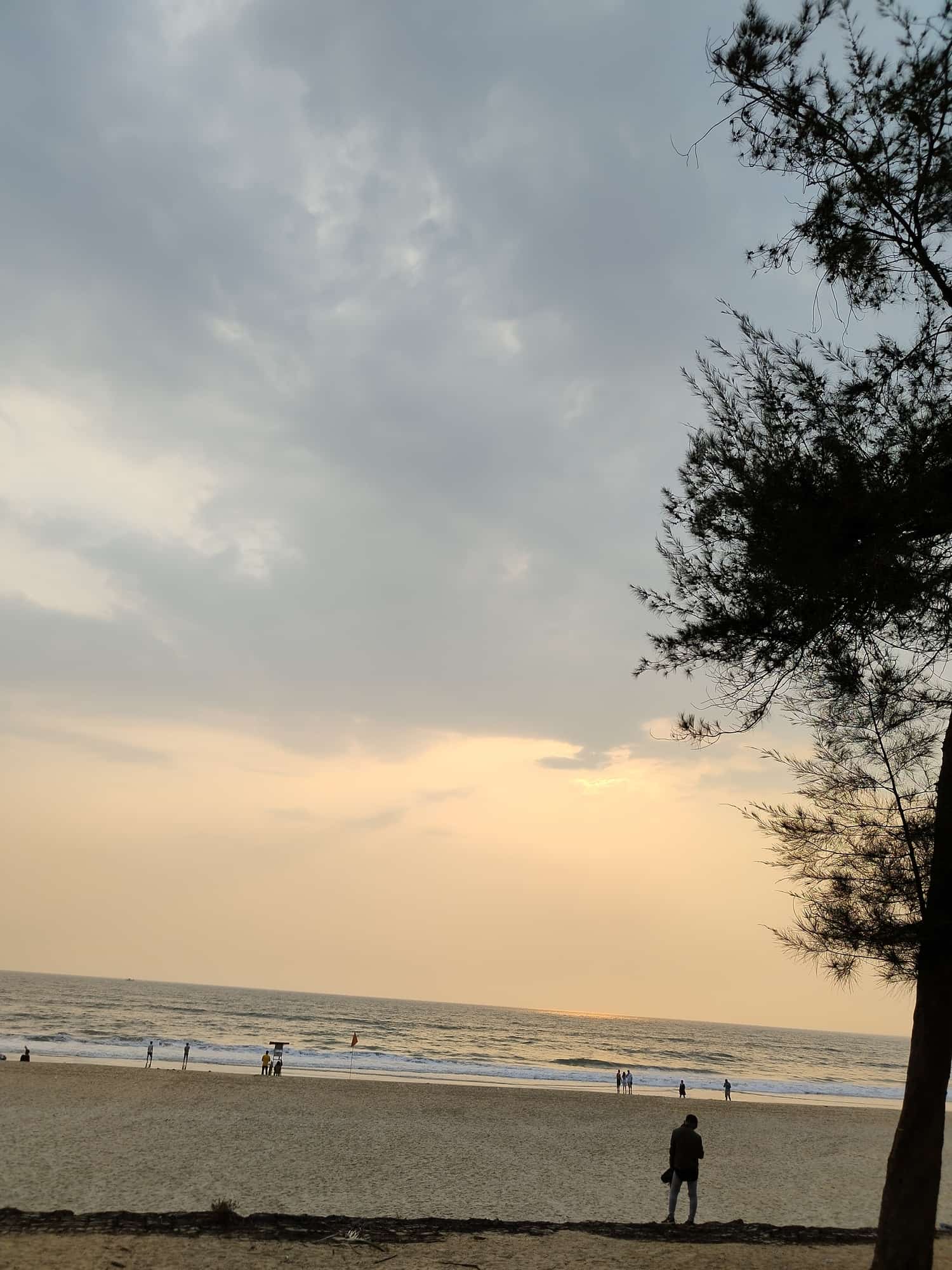 Guide to Investing in Studio Apartments in Mapusa, Goa